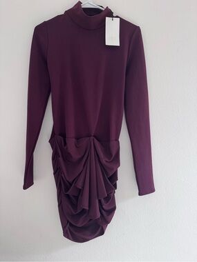Zara Plum Long Sleeve Turtleneck Ruched Dress